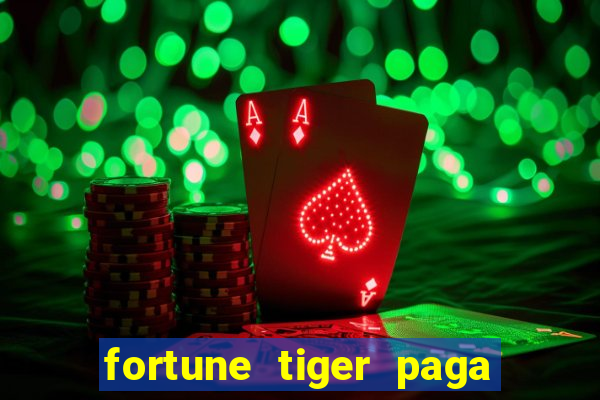 fortune tiger paga de madrugada